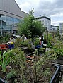 Garten des Museums