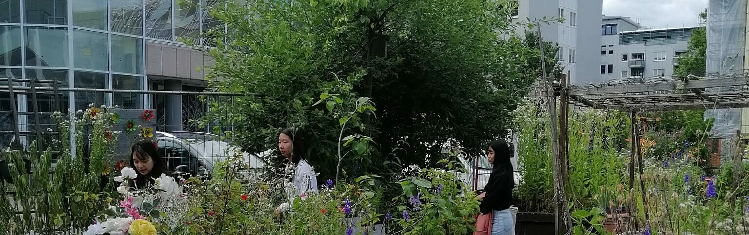Garten des Museums