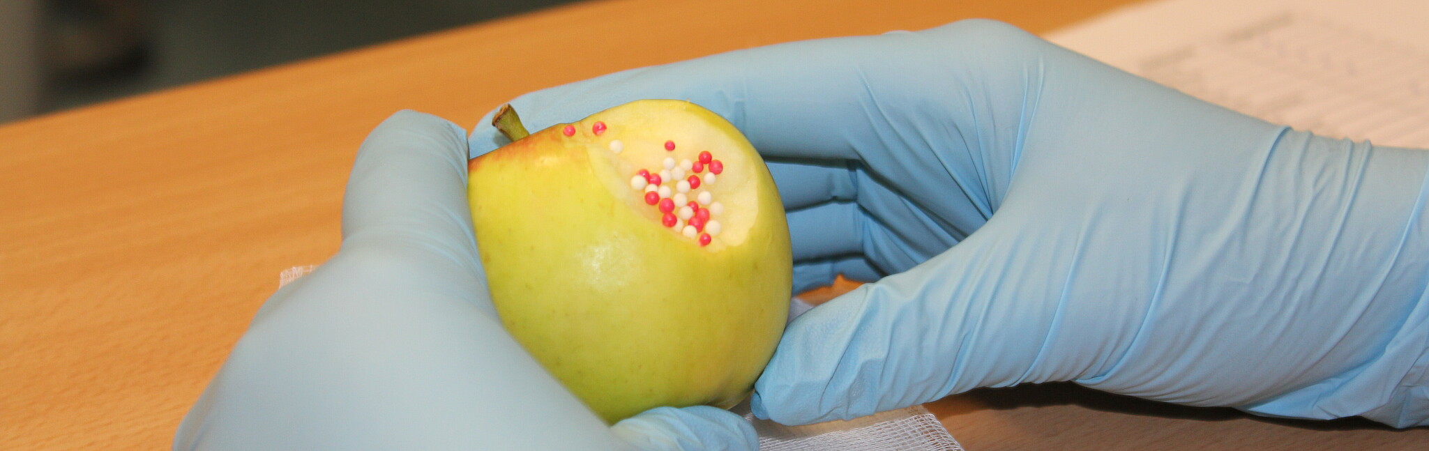 bitten apple